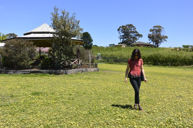 Pettys Orchard Indian top