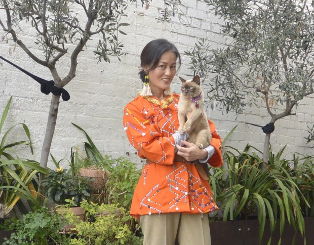 catsitting burmese DIY